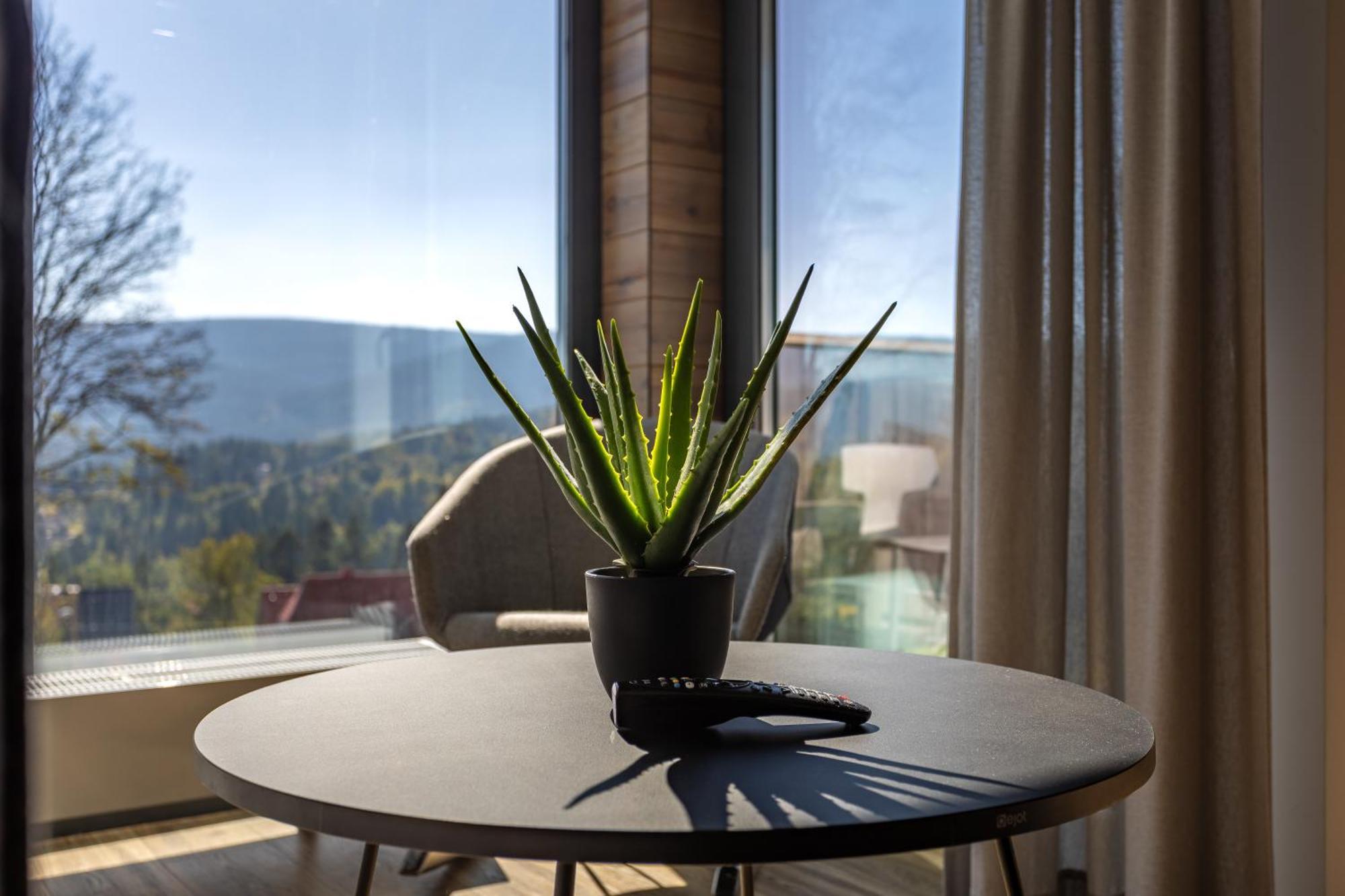 Apart Invest Szklarska 800 C7 I C14 Szklarska Poreba Dış mekan fotoğraf